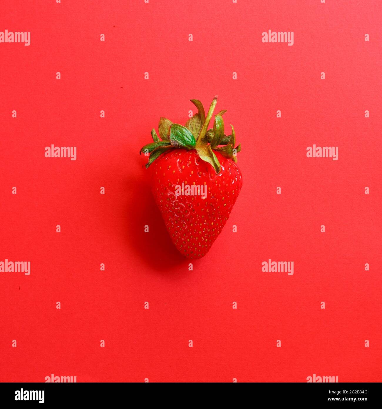 Simple fraise rouge sur fond rouge, concept minimaliste créatif avec espace de copie. Banque D'Images