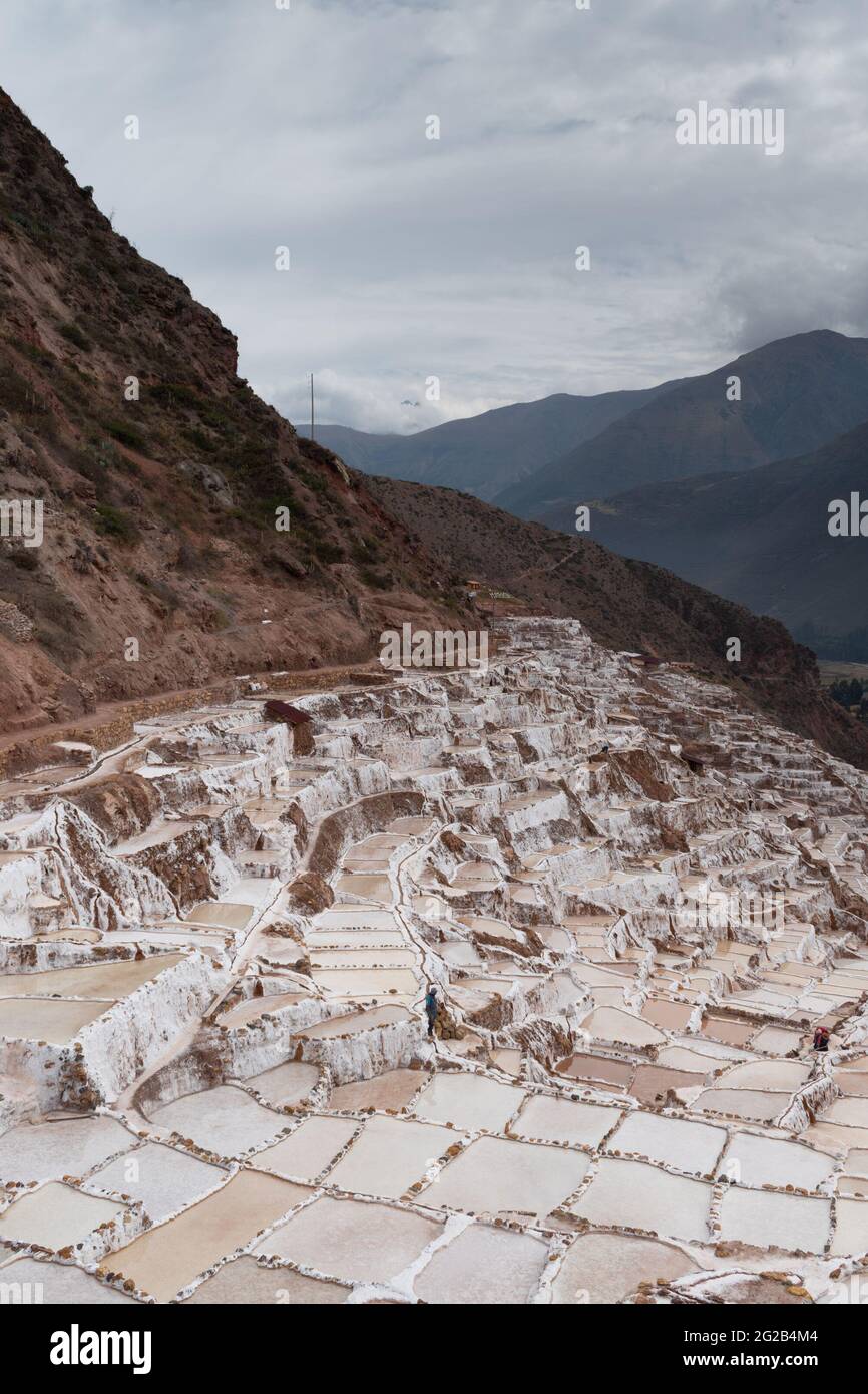 Étangs d'évaporation dans les mines de sel de Maras, dans la Vallée Sacrée, au Pérou Banque D'Images