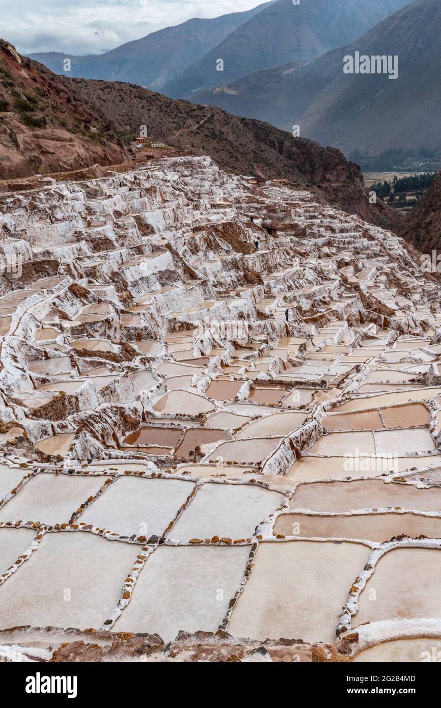 Étangs d'évaporation dans les mines de sel de Maras, dans la Vallée Sacrée, au Pérou Banque D'Images