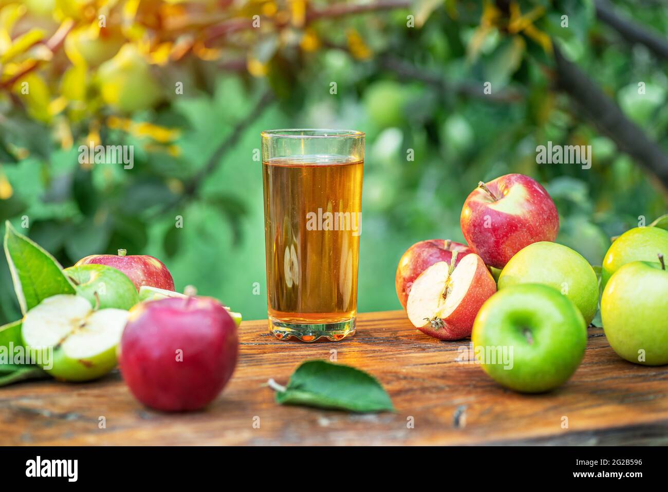 Jus de pomme frais et pommes sur une table en bois dans le jardin du verger d'été. Banque D'Images