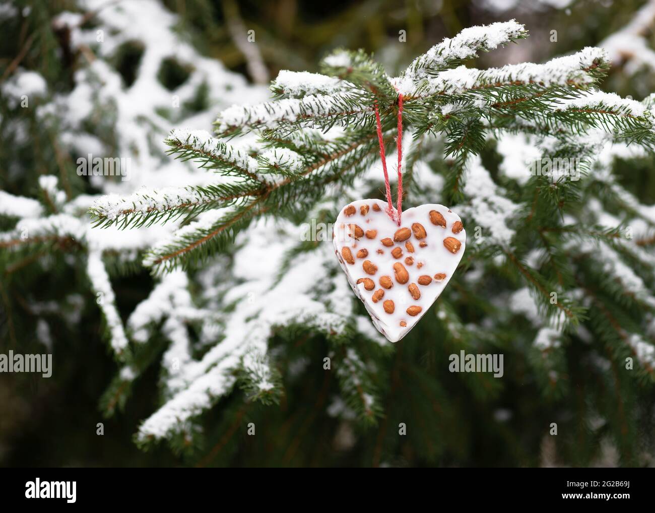 Petit Gateau Fait Maison En Forme De Coeur Aux Arachides Mangeoire A Oiseaux Accroche A Une Branche De Sapin Dans Le Jardin D Hiver Aider Les Gens A La Notion D Animaux Copier L Espace