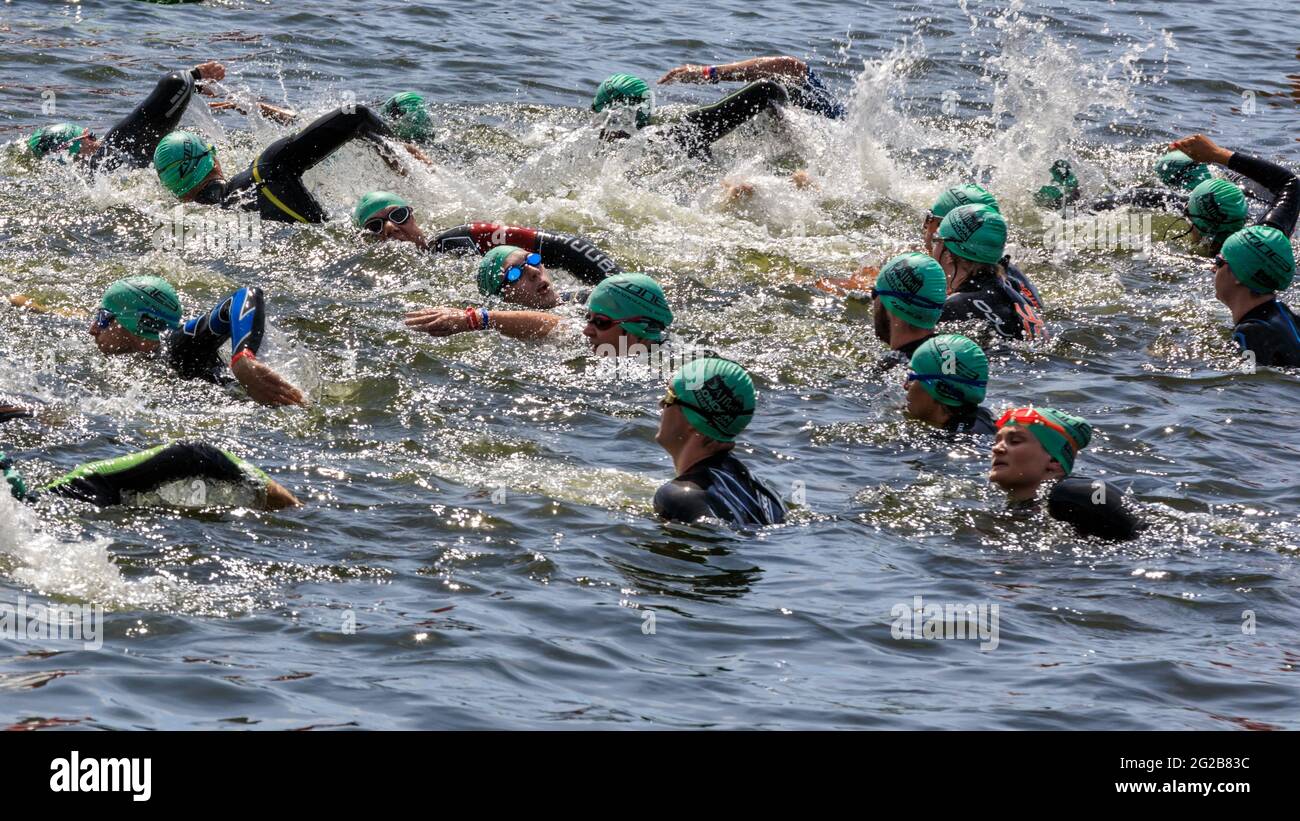 Nageurs triathlètes, dont le chef Gordon Ramsey, dans l'eau à AJ Bell London Triathlon 2018, Londres, Royaume-Uni Banque D'Images