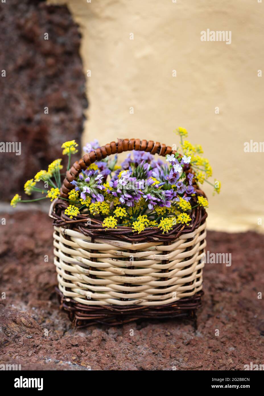 Encore la vie avec un bouquet de fleurs sauvages d'été dans un panier en osier. Banque D'Images
