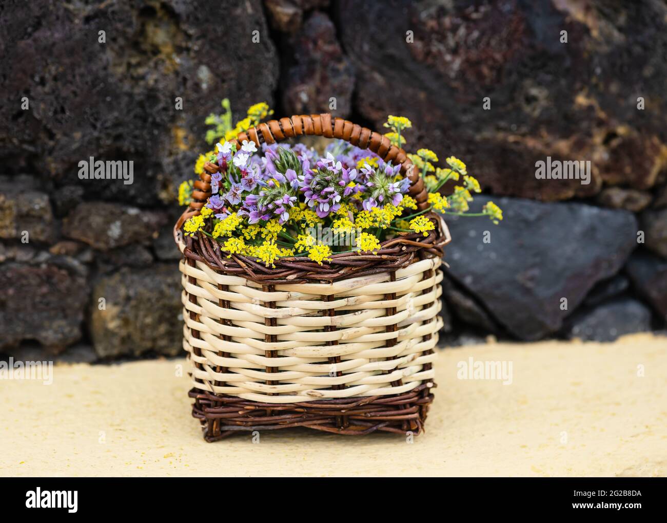 Panier traditionnel en osier canari bouquet de fleurs sauvages colorées. Copier l'espace. Banque D'Images