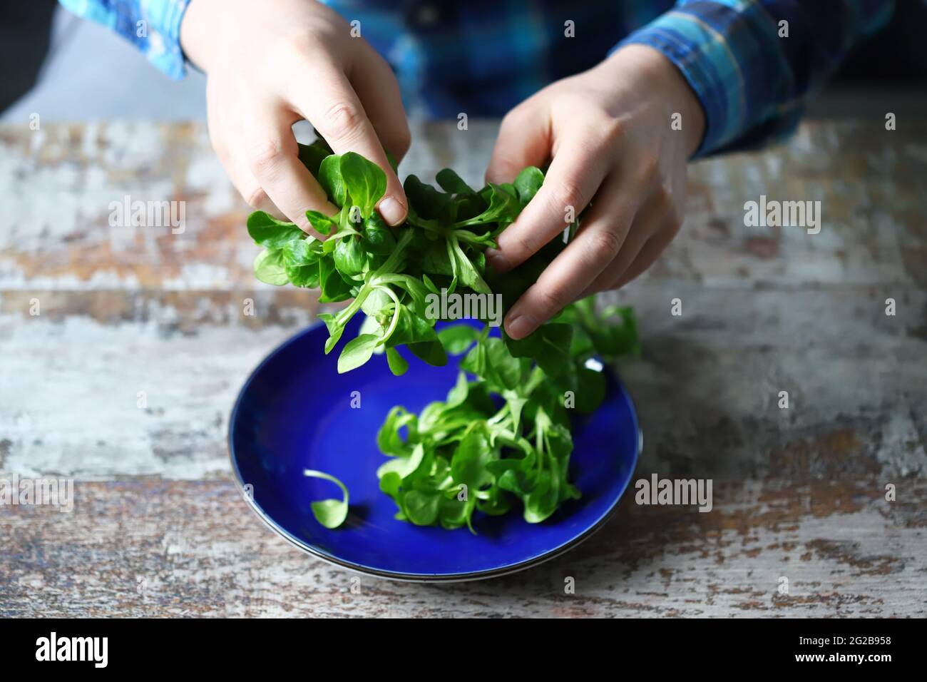 Les mains des hommes tiennent une salade verte. Concept d'alimentation saine. Écrasez la salade dans une assiette bleue. Banque D'Images