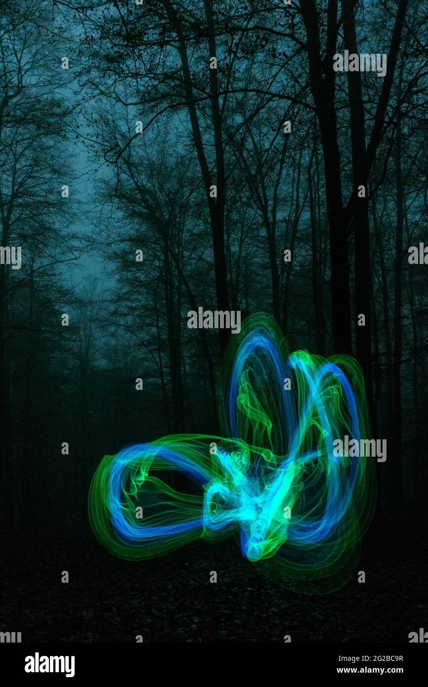 Des lumières bleues et vertes se déplacent dans la mystérieuse forêt sombre et brumeuse la nuit Banque D'Images