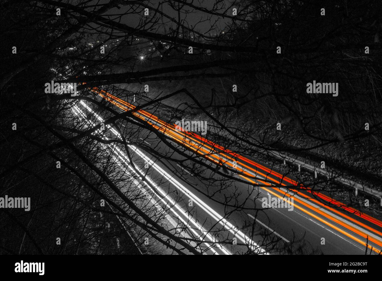 des traces claires de voitures sur l'autoroute avec des arbres et des branches dans une atmosphère sombre et sinistre Banque D'Images