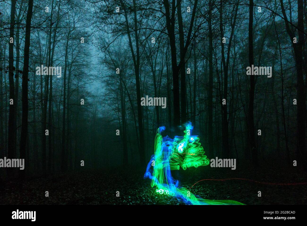 Des lumières bleues et vertes se déplacent dans la mystérieuse forêt sombre et brumeuse la nuit Banque D'Images
