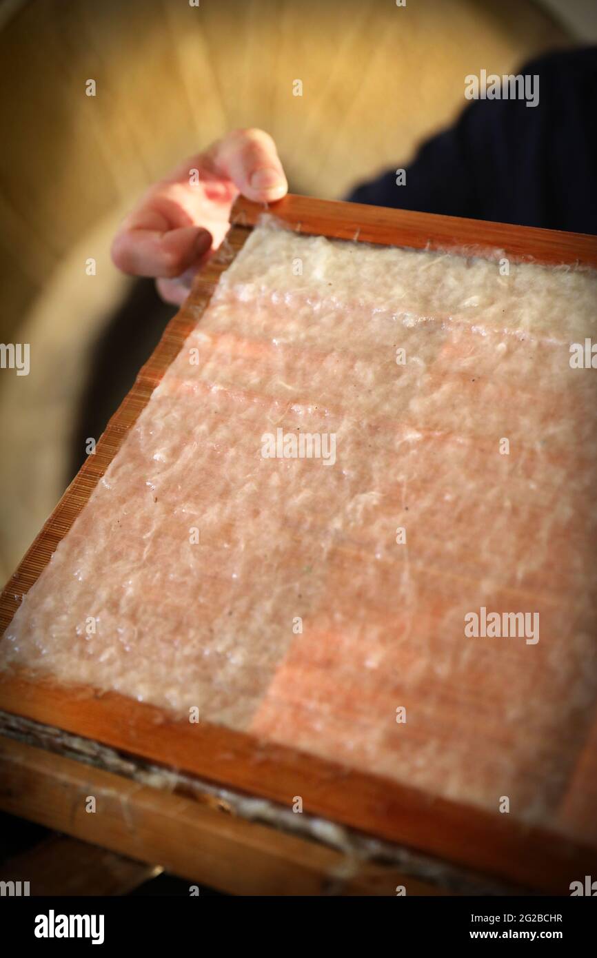 Papier fait à la main : la pâte est versée sur la surface d'un moule pour former une feuille de papier, dans une papeterie Banque D'Images