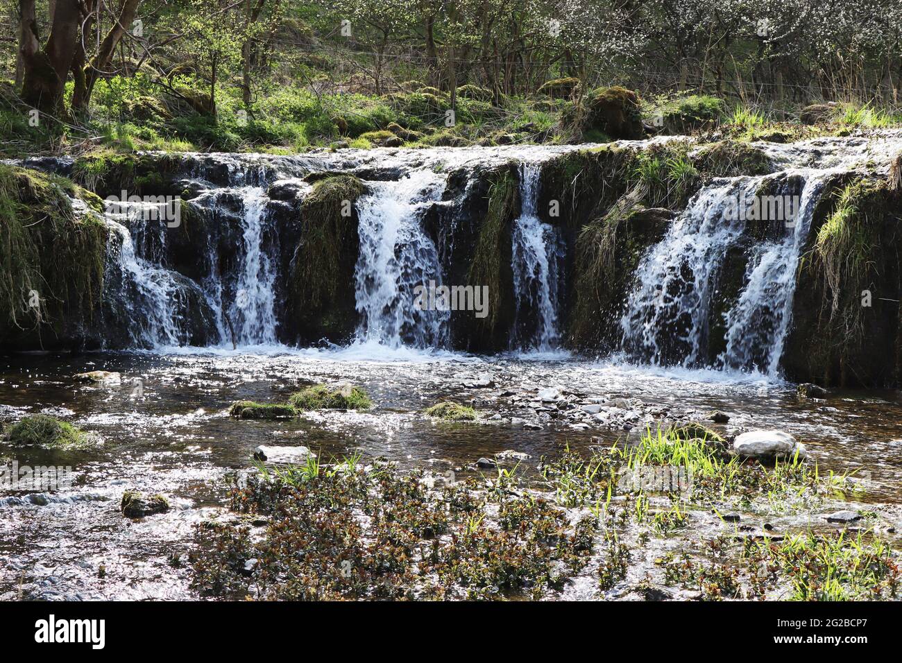 Cascade de Lathkill Dale dans le district de Peak Banque D'Images