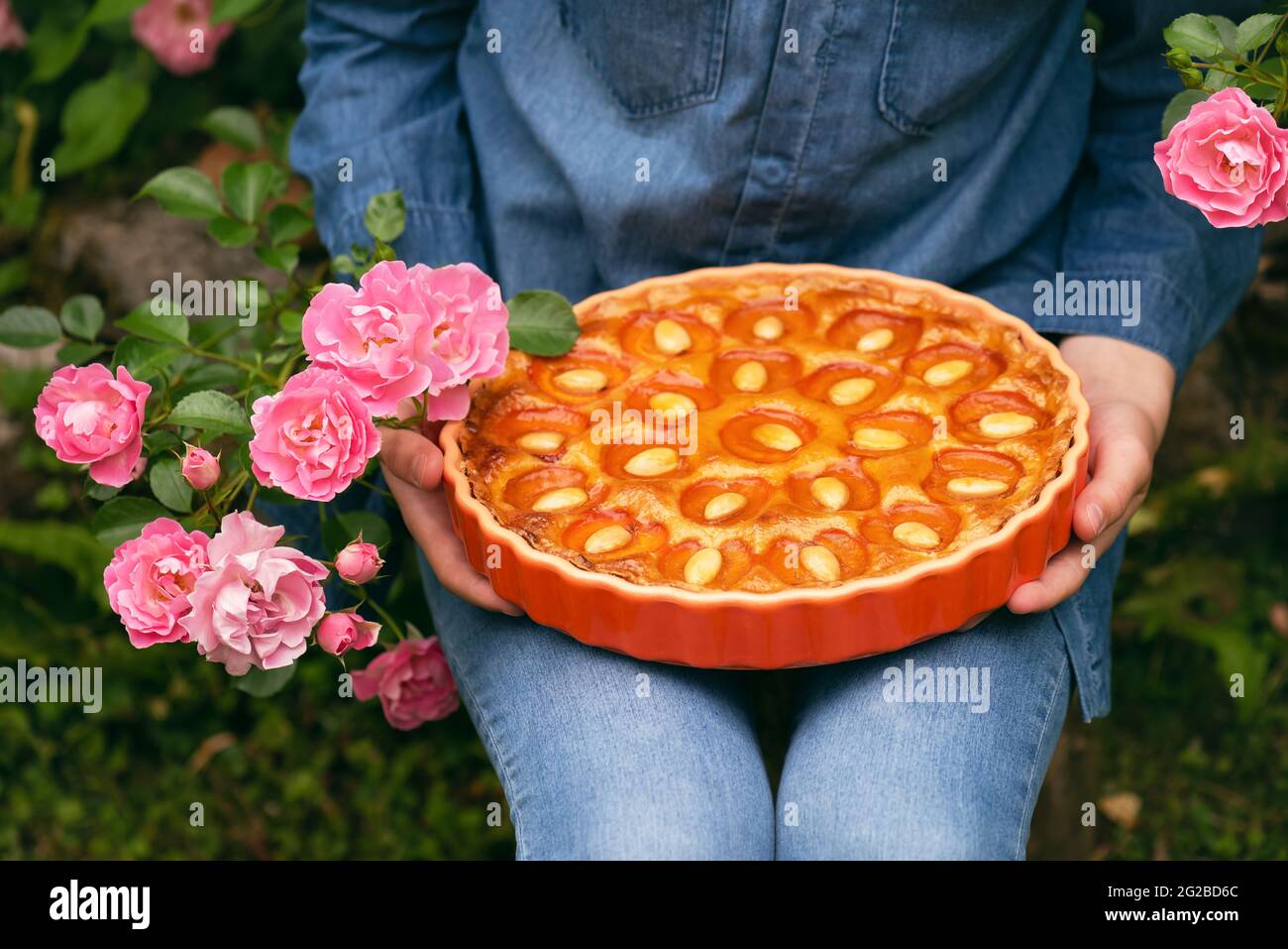 Tarte à l'abricot maison avec noix d'amande dans les mains des femmes dans le jardin d'été. Banque D'Images