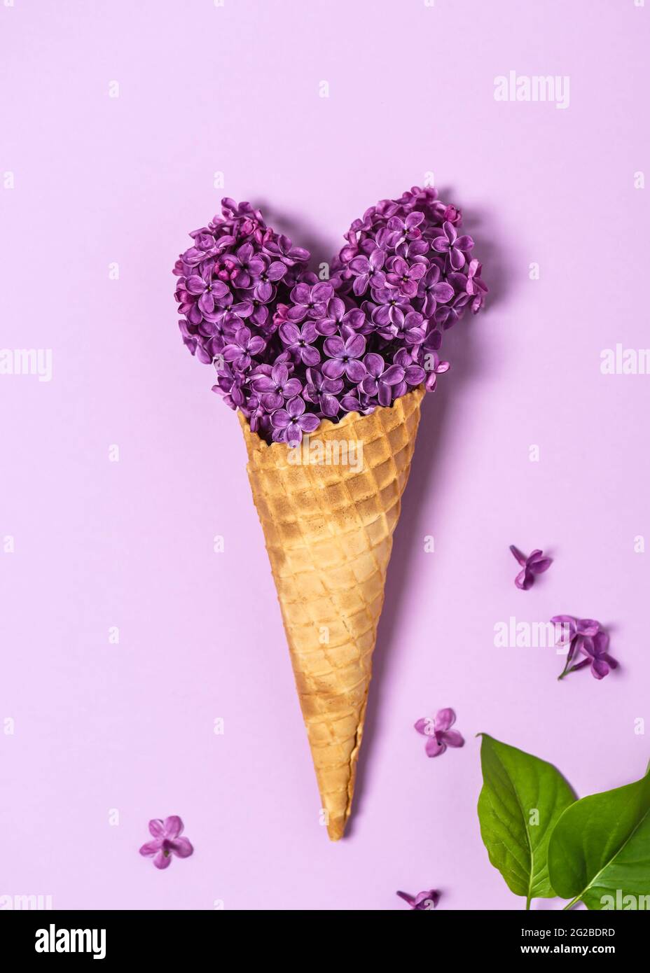 Résumé la vie d'un cornet de gaufres à la crème glacée avec des fleurs comestibles lilas en forme de coeur sur fond rose. Banque D'Images