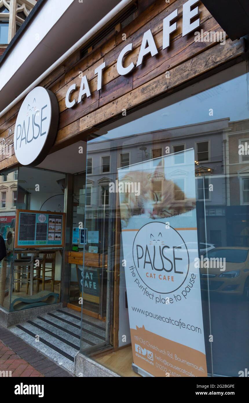 Pause Cat café à Old Christchurch Rd, Bournemouth, Dorset Royaume-Uni en juin - l'endroit parfait pour faire une pause Banque D'Images