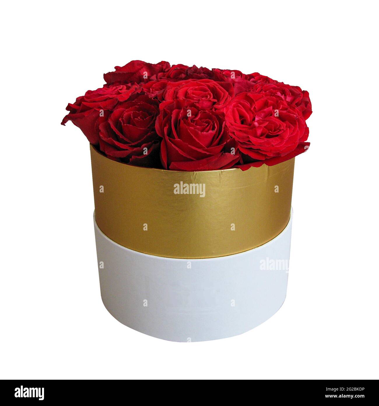 Bouquet romantique de roses rouges de luxe dans une boîte cadeau ronde blanche et dorée isolée sur fond blanc. Banque D'Images