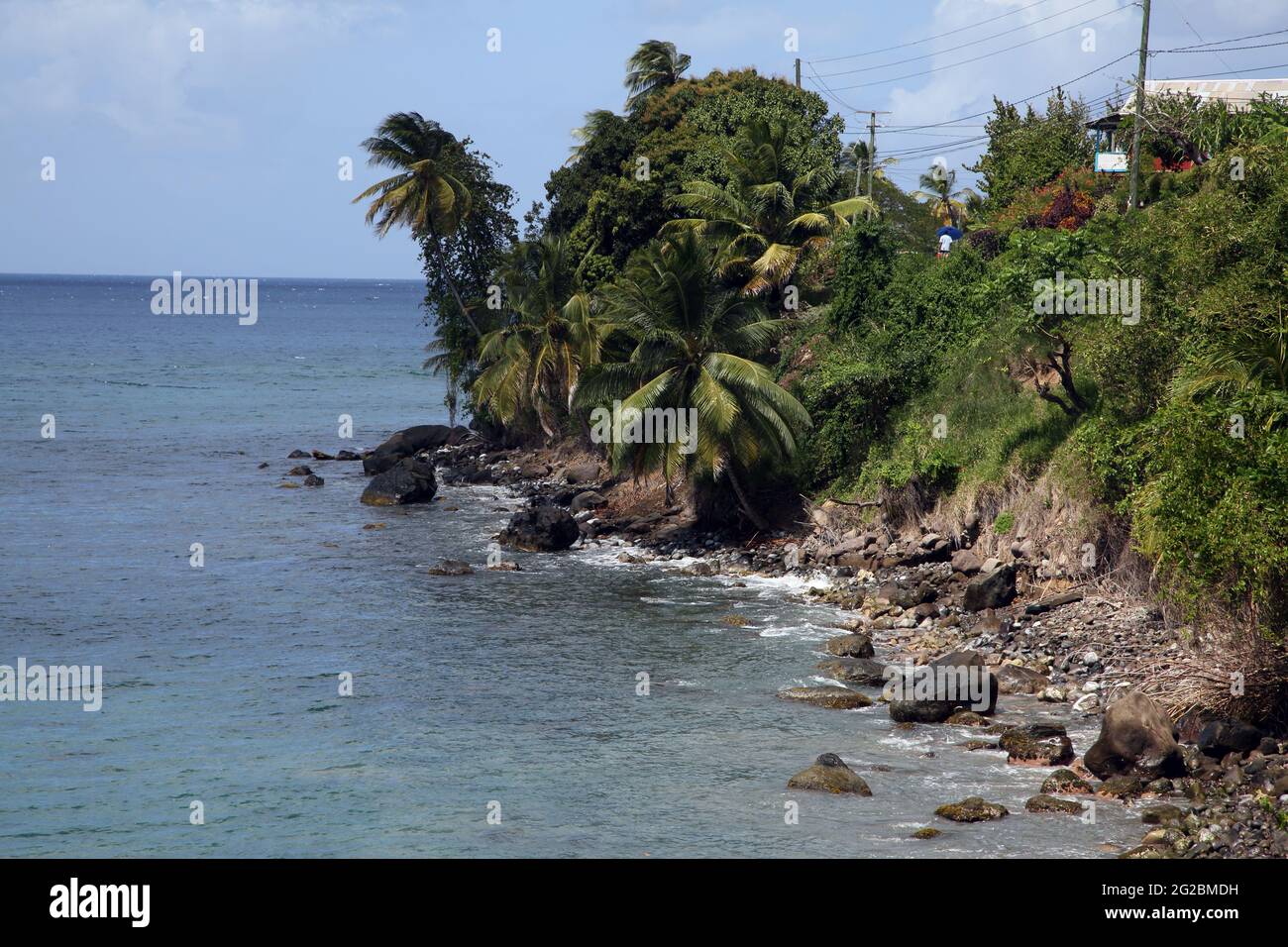Côte de la Grenade près de Gouyave Banque D'Images
