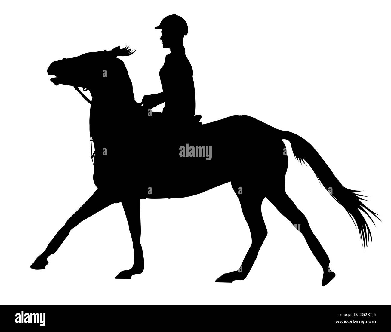Silhouette d'un cavalier sur un cheval isolé sur blanc arrière-plan Banque D'Images