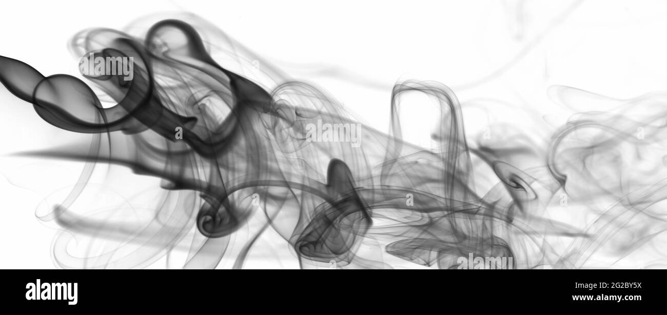 Arrière-plan abstrait gris foncé transparent fumée sur fond blanc. Nuage de fumée magique vague Banque D'Images
