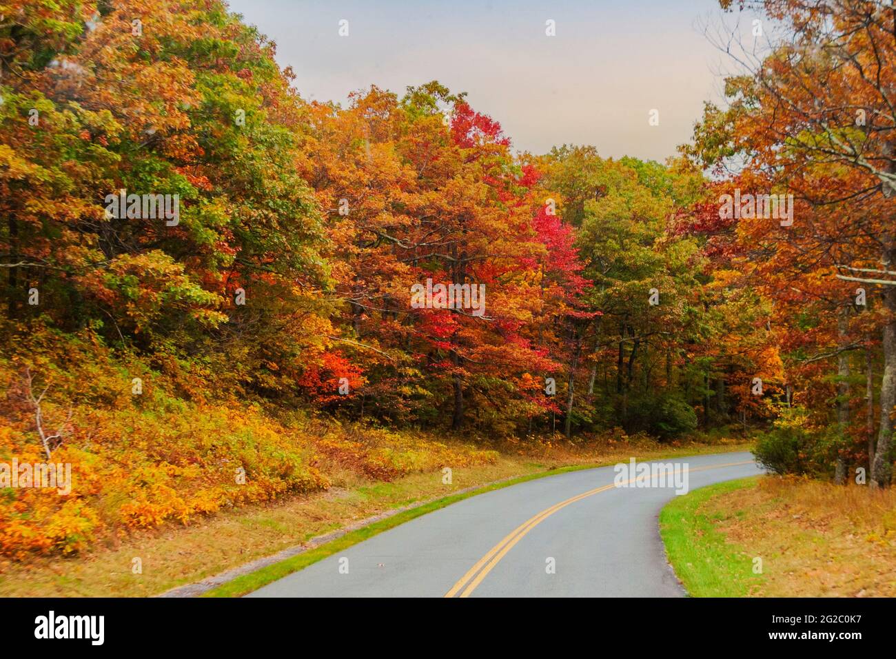 Route à deux voies traversant la magnifique Blue Ridge parkway, chaîne de montagnes Appalachienne en automne. ÉTATS-UNIS. Banque D'Images