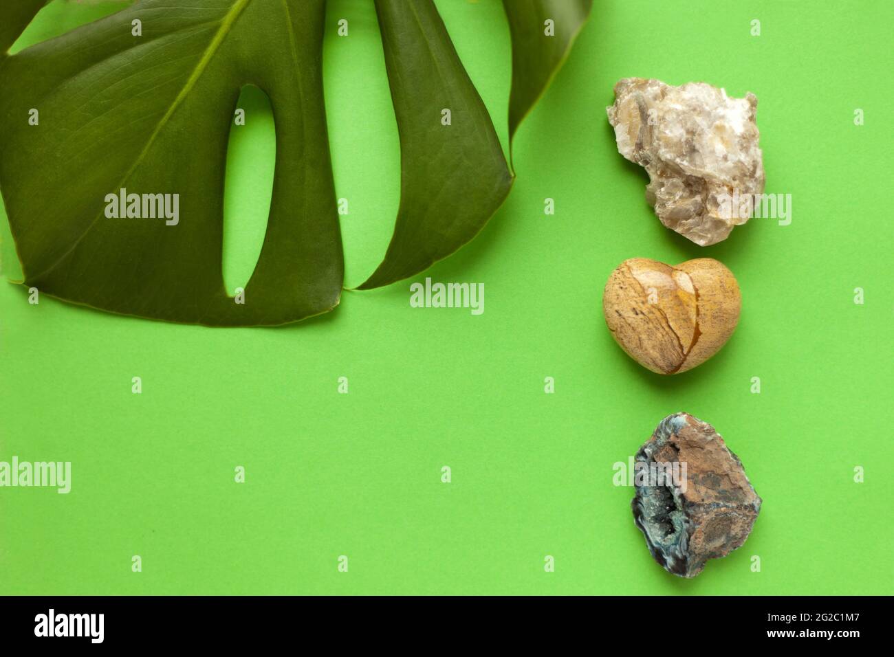 minéraux et monstère plante sur papier vert - variété de galets de mer colorés avec feuille de monstère verte comme un arrière-plan d'été Banque D'Images