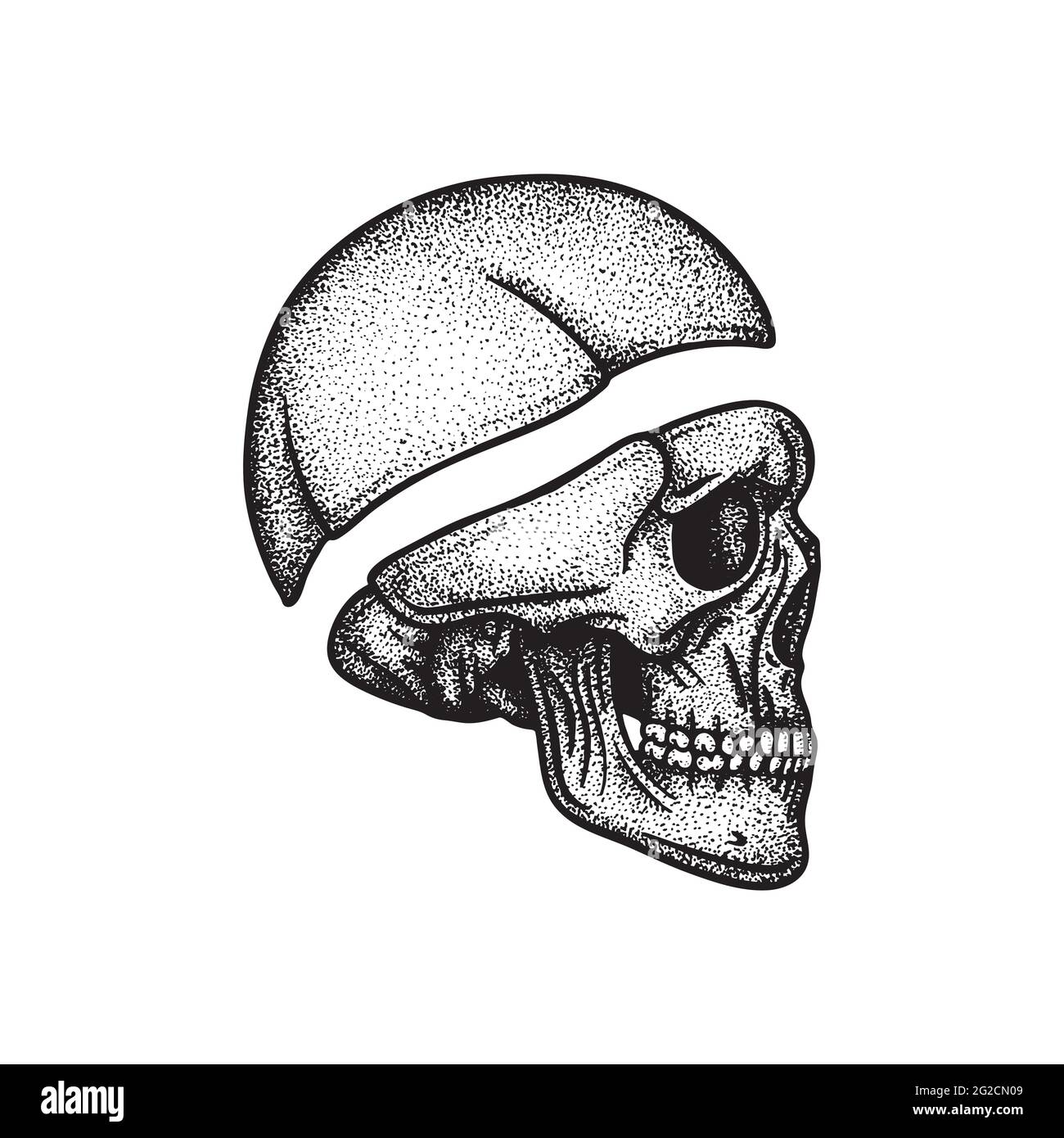 Illustration vectorielle dessinée à la main dans la vue latérale du crâne humain. Fait partie du graphique squelette humain. Illustration de Vecteur