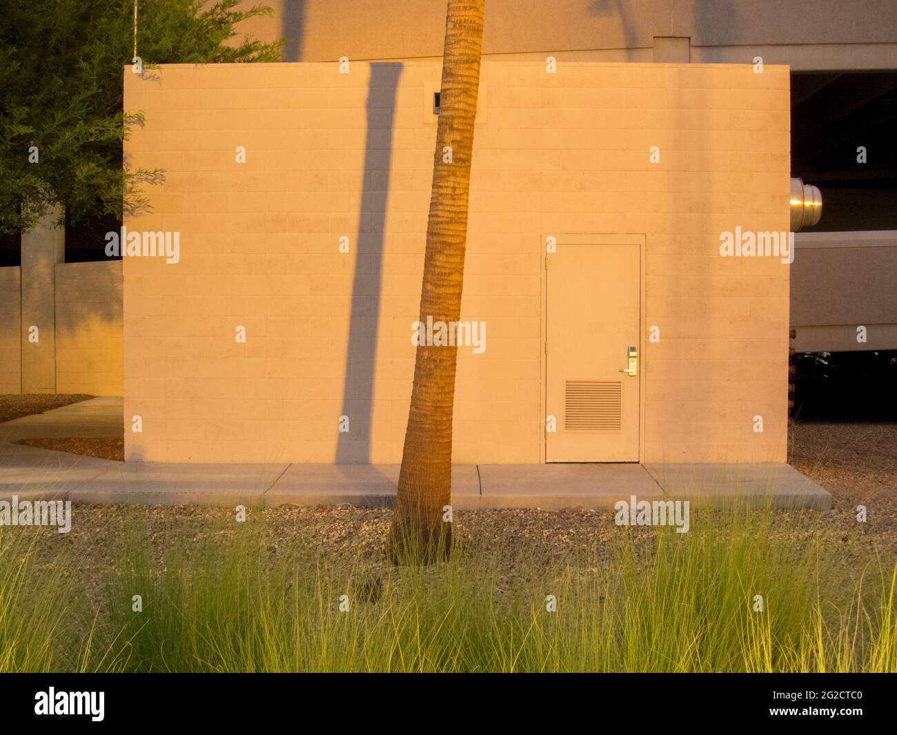 Jardin paysager désertique sec à côté d'un garage. À Las Vegas, Nevada. Banque D'Images