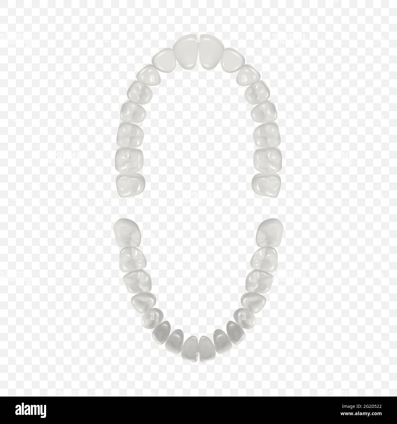 Vector 3d Realistic Teeth, Upper, Lower Adult Jaw, vue de dessus. Concept anatomique. Orthodontiste Human Teeth Scheme isolé. Santé bucco-dentaire médicale. Conception Illustration de Vecteur