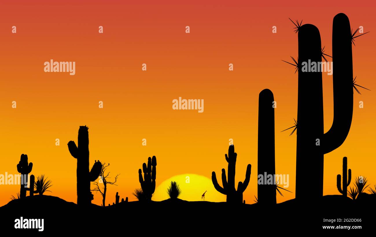 Silhouettes de différents cactus au coucher du soleil avec un ciel sans  nuages et le soleil couchant dans le désert. Coucher de soleil dans le  désert avec ciel clair sans nuages Photo