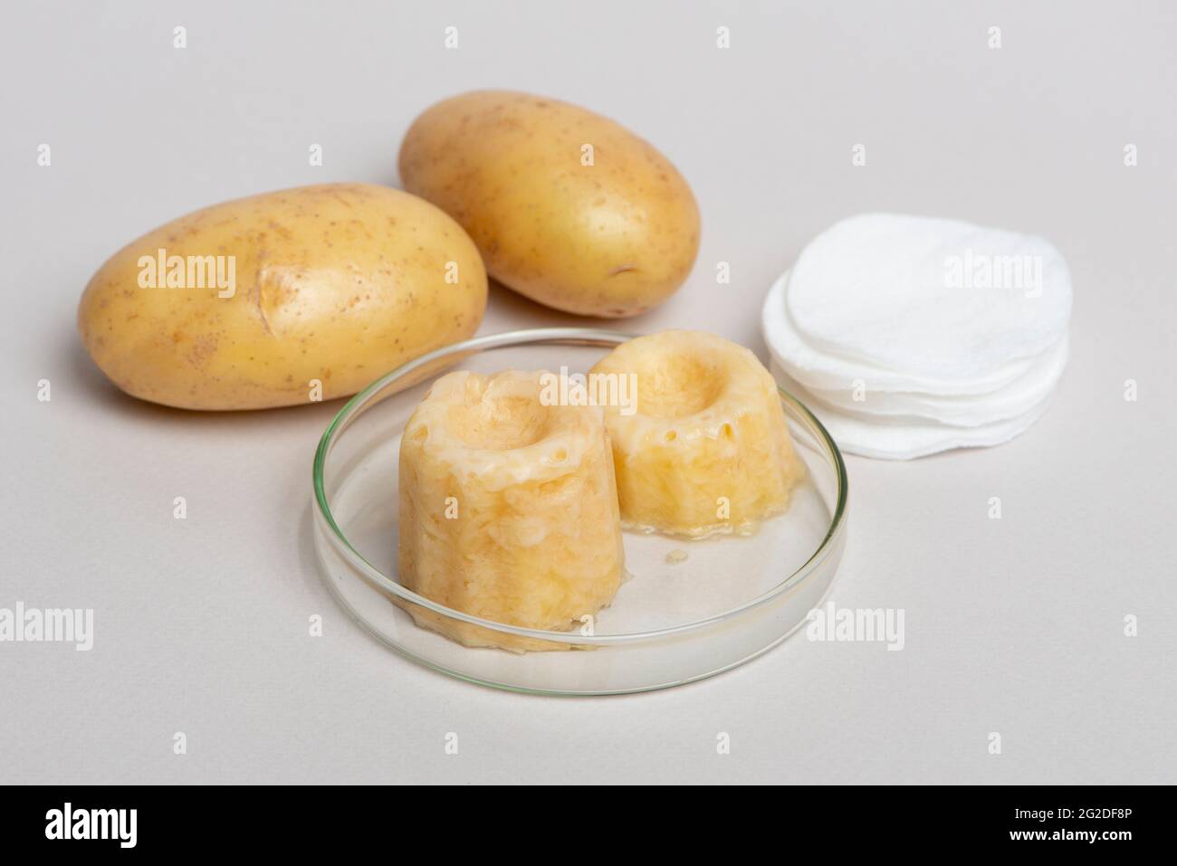 Cubes de glace de beauté de pommes de terre. Produit de soin de la peau maison. Cosmétiques DIY. Banque D'Images