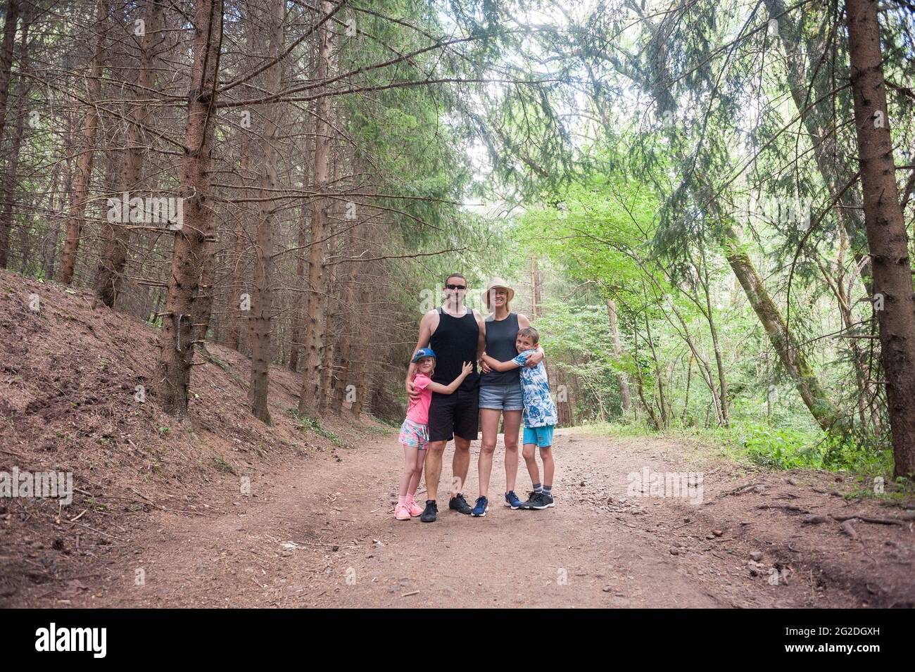 Une famille explore les bois de france et les pins ombragés Banque D'Images