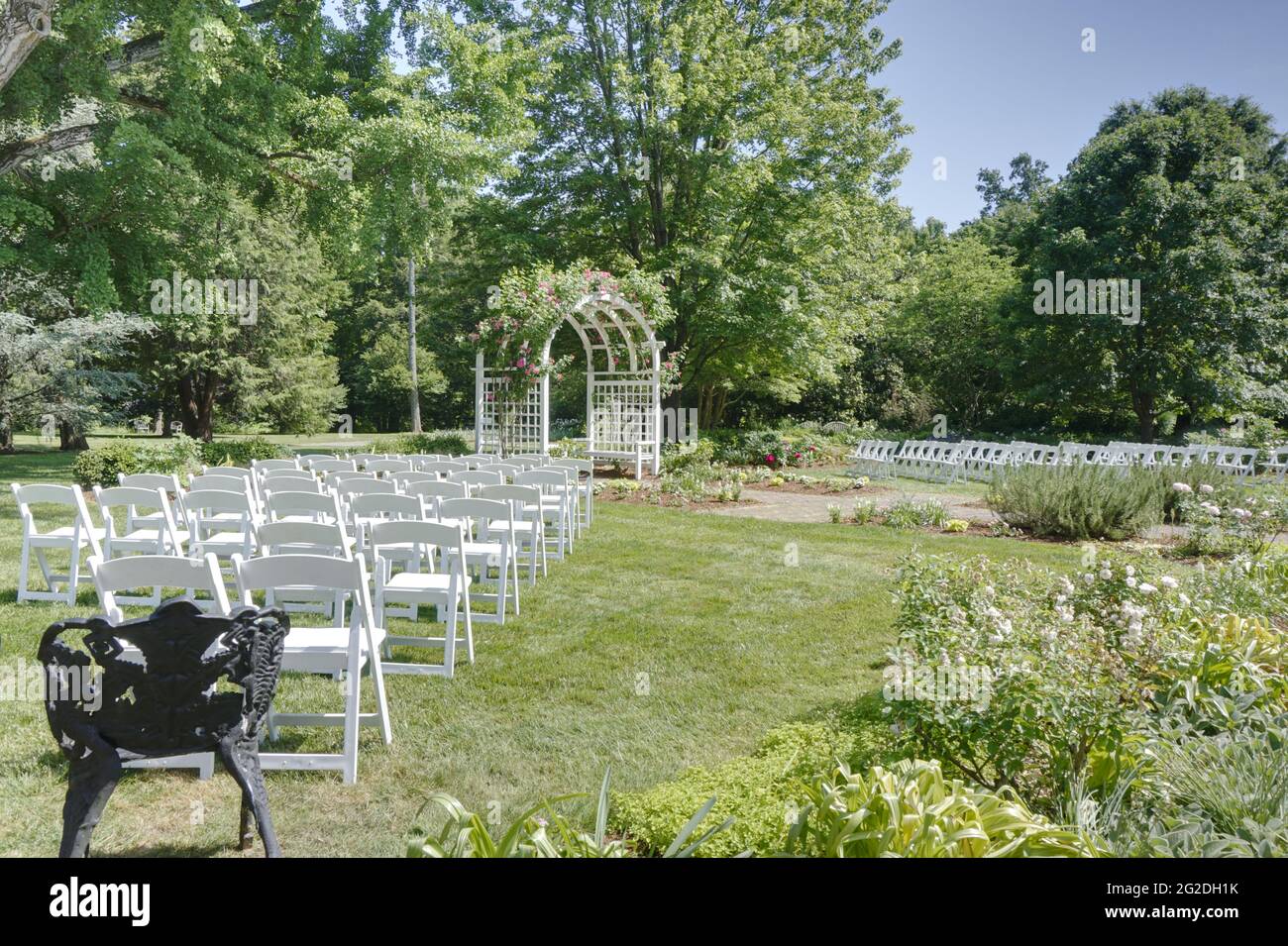 Chaises disposées pour un mariage dans le jardin Banque D'Images
