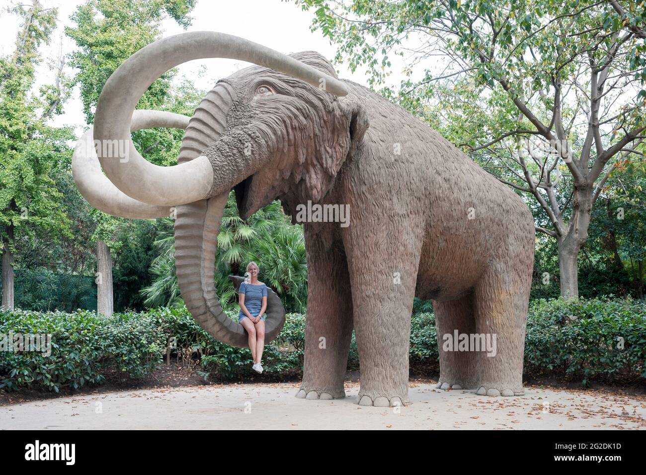 Une femme est assise dans un tronc d'éléphants géant dans un parc de Barcelone, en Espagne Banque D'Images