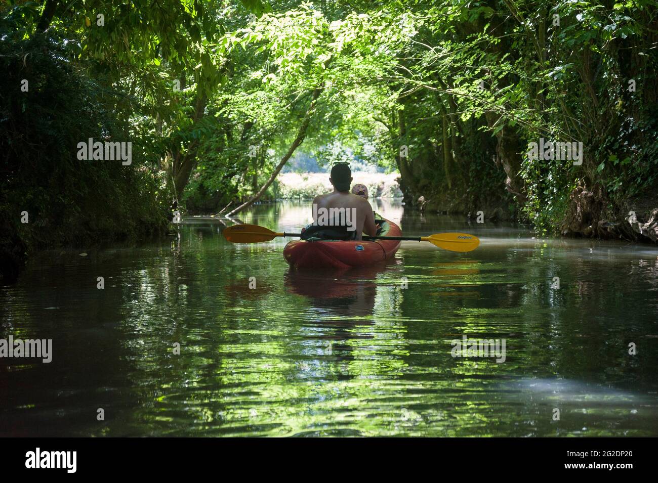 Un kayak familial dans le Parc naturel régional du Marais Poitevin sur des  kayaks gonflables lors de vacances d'été en France Photo Stock - Alamy
