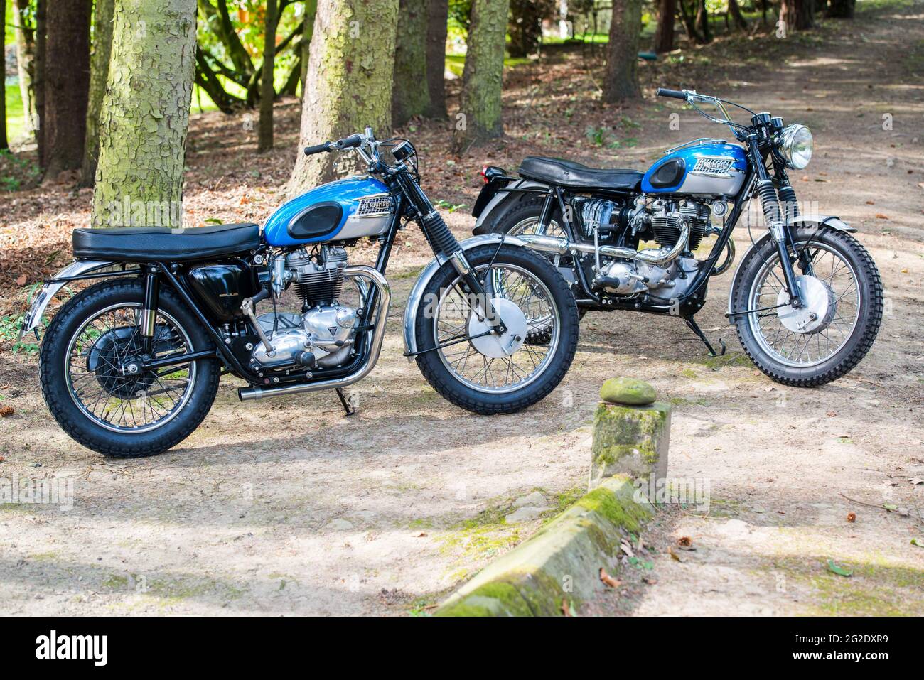 Une paire de Bonneville Triumph restauré Banque D'Images