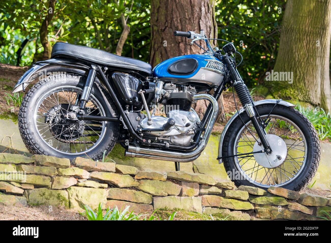 Une paire de Bonneville Triumph restauré Banque D'Images