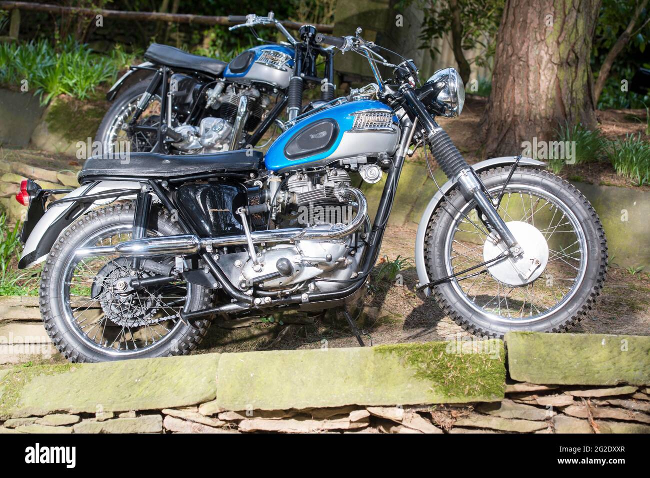 Une paire de Bonneville Triumph restauré Banque D'Images