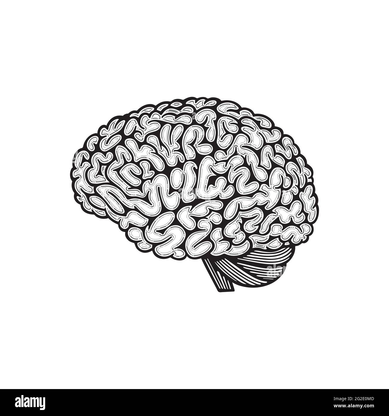 Vue latérale du cerveau. Illustration vectorielle dessinée à la main par le cerveau humain. Dessin du contour du cerveau. Partie de l'ensemble. Illustration de Vecteur