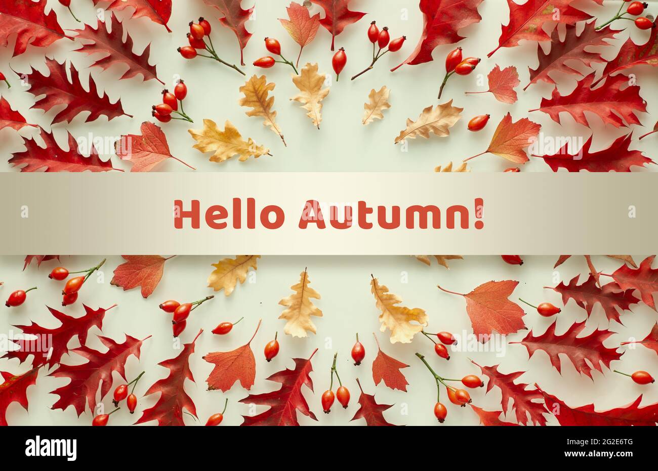 Texte Hallo Autumn sur une bande de papier à travers l'arrangement circulaire de diverses feuilles rouges d'automne. Conception saisonnière simple à partir de matériaux naturels. Vue de dessus Banque D'Images