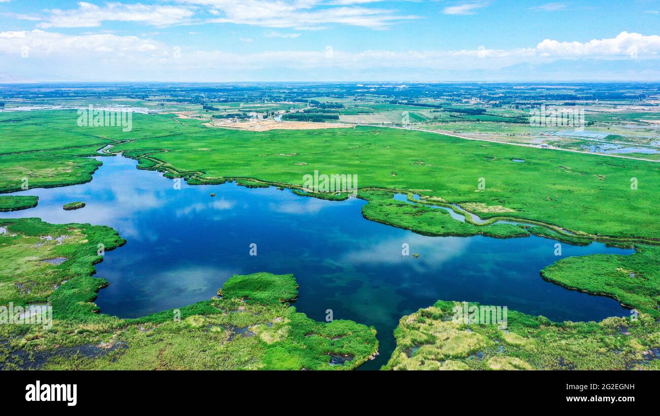 Bayingolin, Chine. 10 juin 2021. La beauté de la zone humide de roseaux du lac Bosten en été à Bayingolin, Xinjiang, Chine, le 10 juin 2021.(photo de TPG/cnschotos) crédit: TopPhoto/Alay Live News Banque D'Images