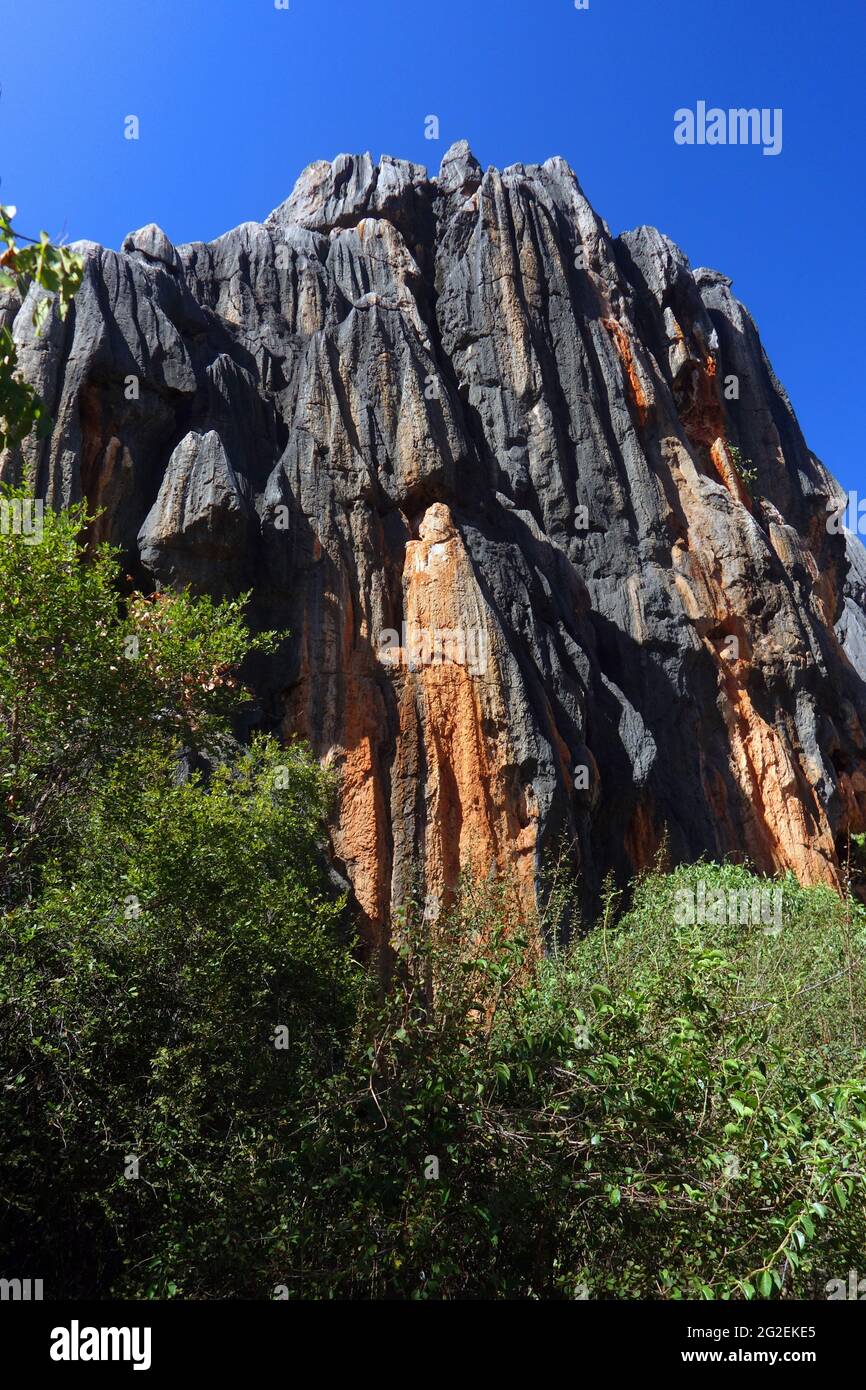 Affleurement de roches calcaires karstiques au site d'art rupestre de Wullumba, parc national des grottes de Chillagoe−Mungana, Queensland, Australie Banque D'Images