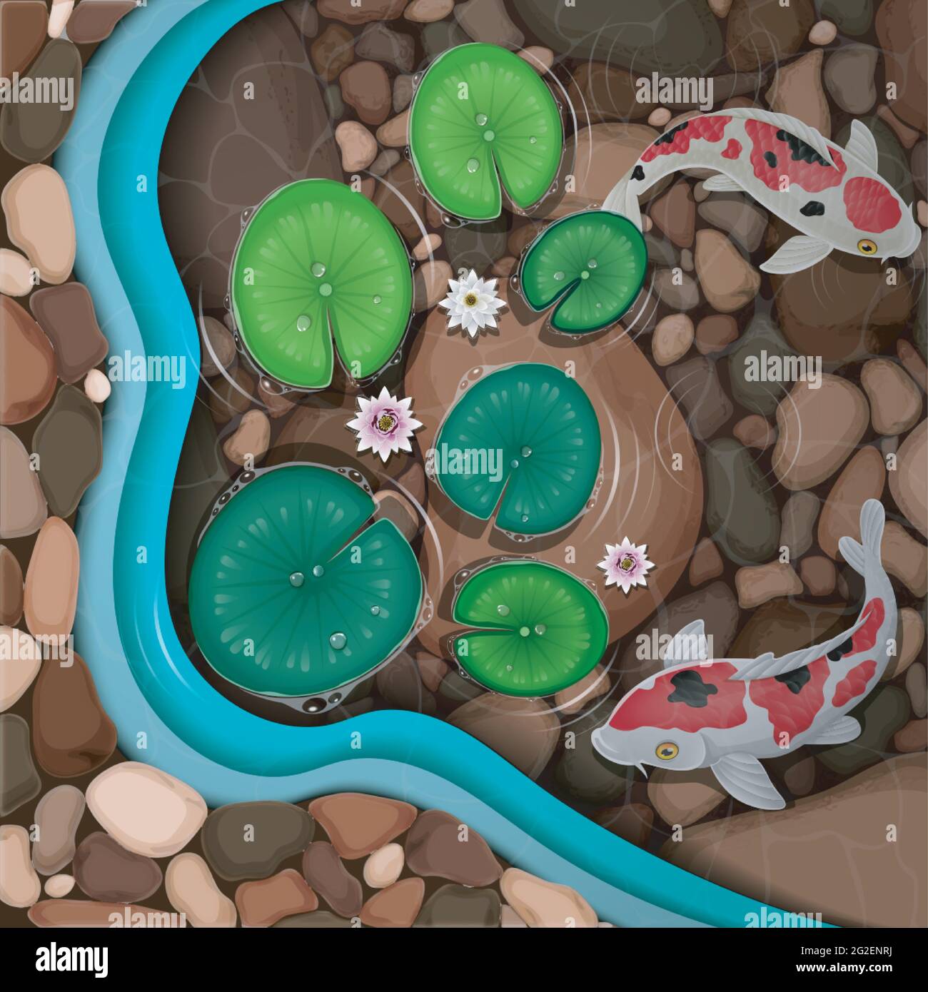 Dessin animé koï poissons nageant dans l'étang Illustration de Vecteur
