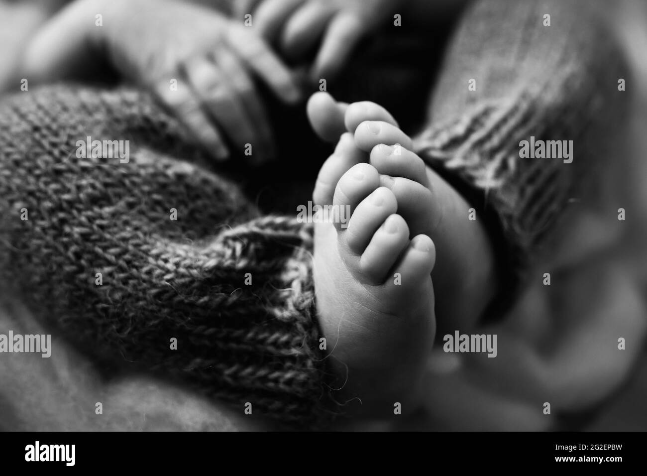 Pieds De Bebe Le Pied Minuscule D Un Nouveau Ne En Foyer Doux Selectif Image En Noir Et Blanc Des Semelles Des Pieds Photo Stock Alamy
