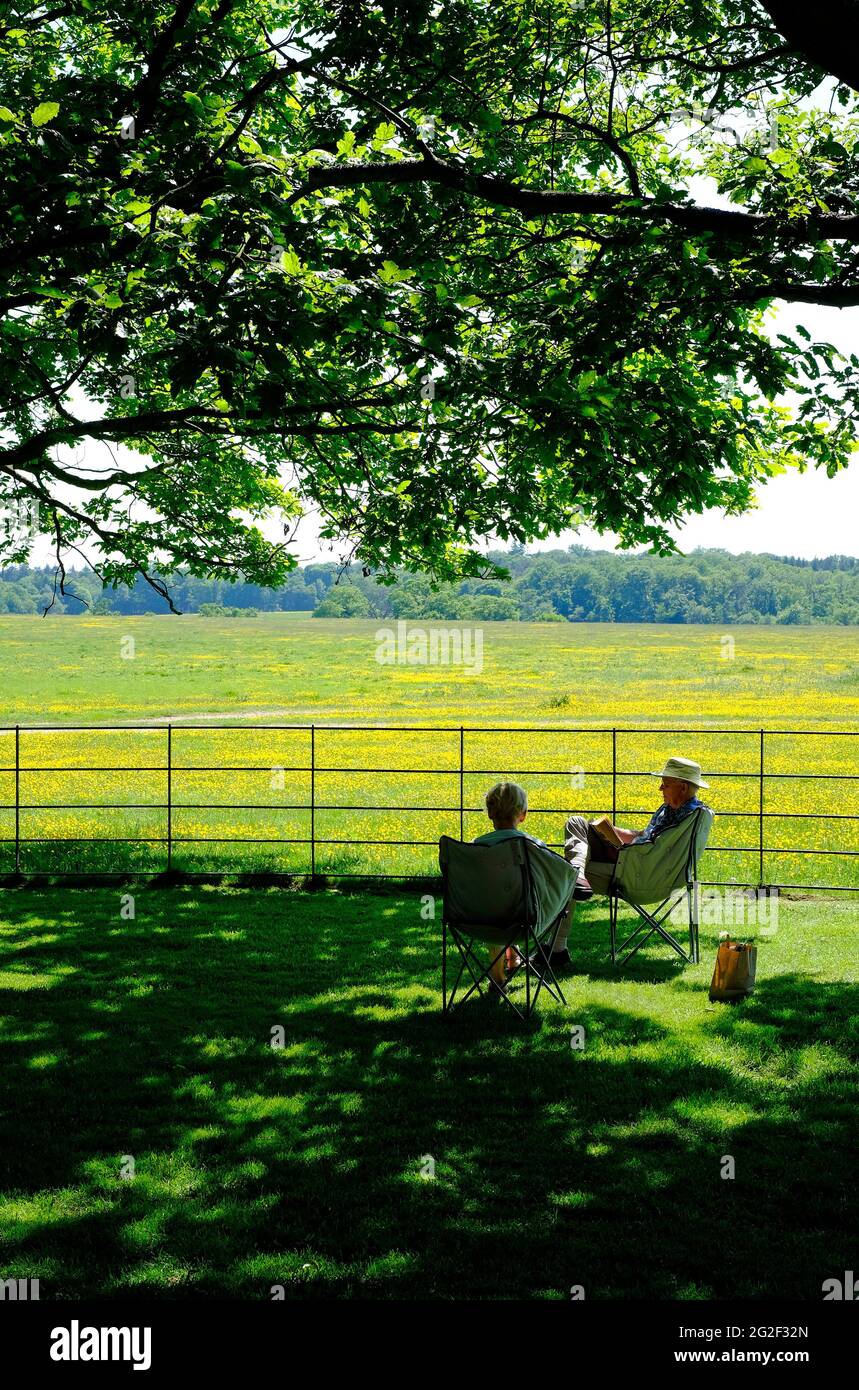 couple senior assis sur des chaises dans la campagne anglaise, norfolk, angleterre Banque D'Images
