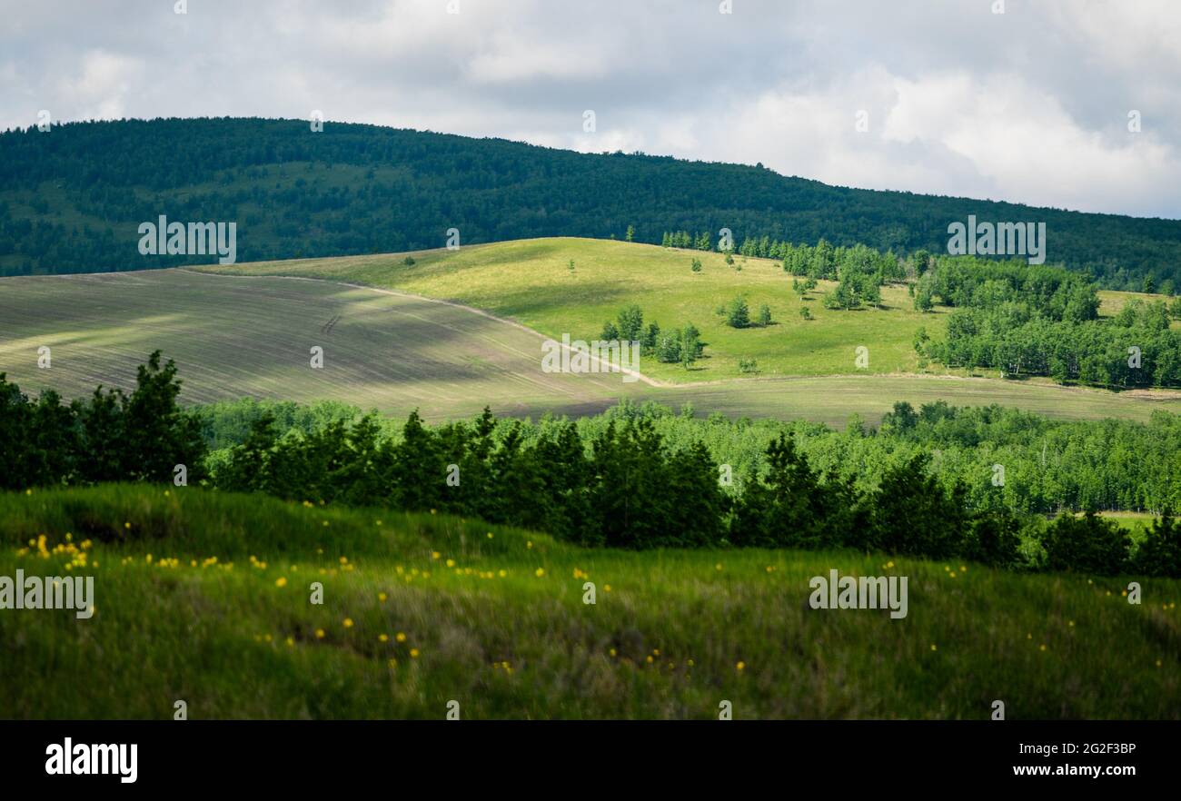 Hulun Buir. 10 juin 2021. Photo prise le 10 juin 2021 montre le paysage d'été de la forêt et des prairies le long de la route nationale no 332 à Hulun Buir, région autonome de la Mongolie intérieure de la Chine du nord. Credit: Lian Zhen/Xinhua/Alay Live News Banque D'Images