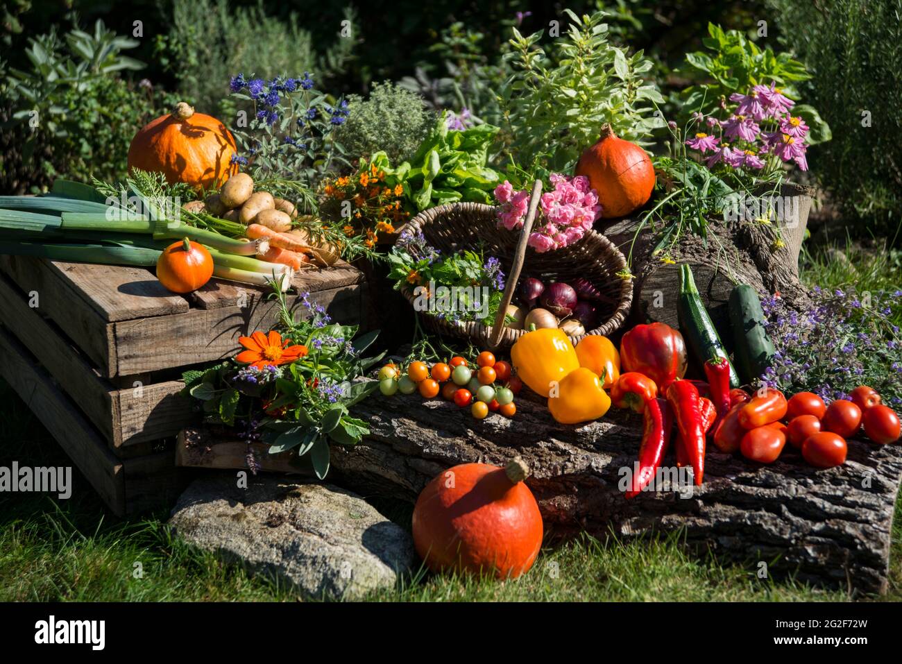 Ertezeit Gemüse, Blumen und Kräuter Banque D'Images