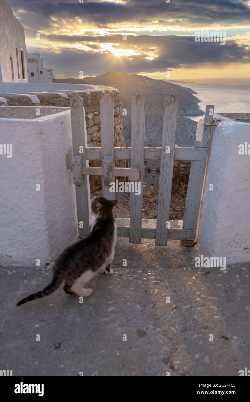 L'île de Folegandros au coucher du soleil. Cyclades, Grèce. Petite porte et mur blanchi à la chaux, vue sur la mer Égée depuis les hautes falaises du village de chora, Banque D'Images