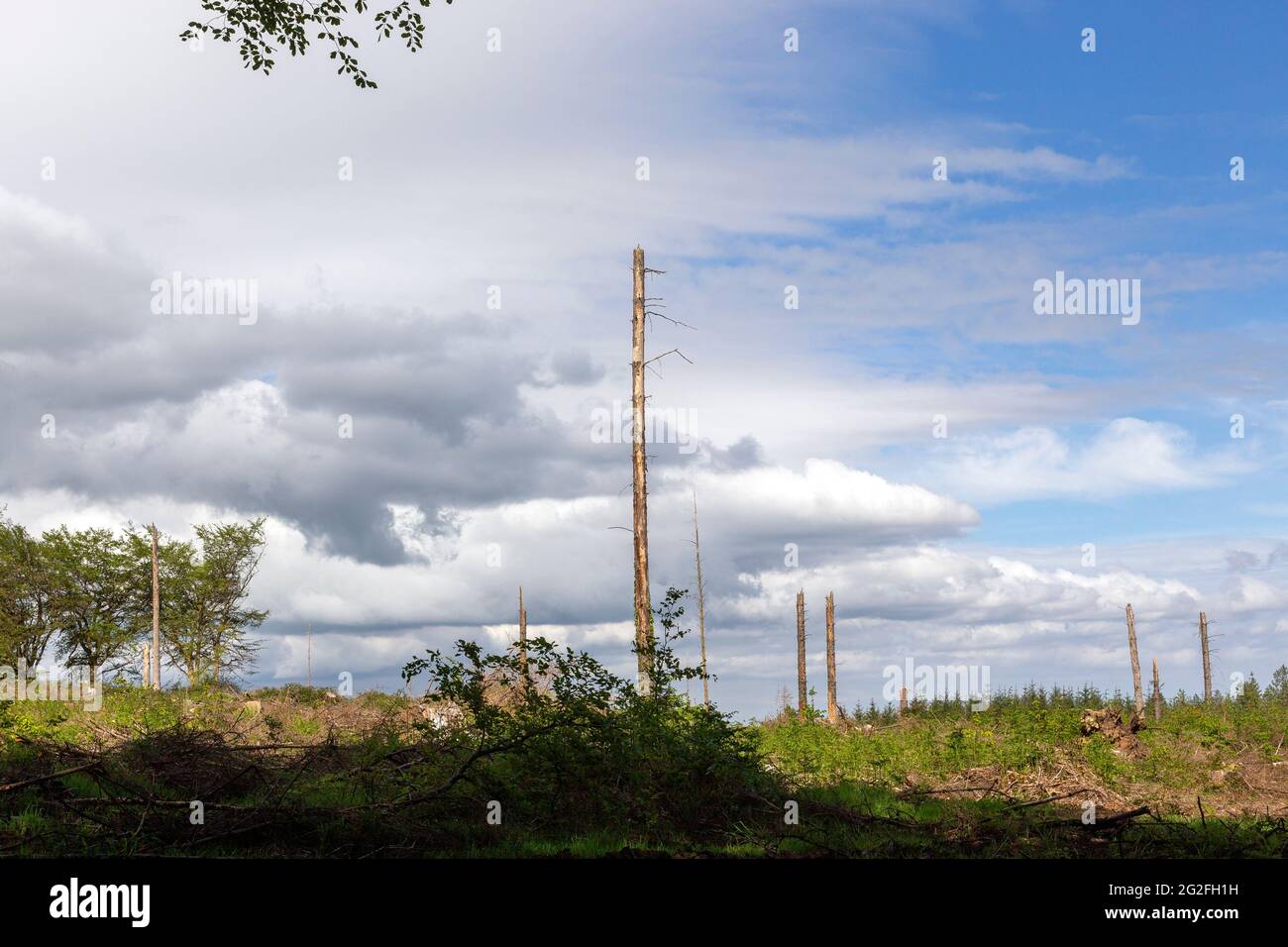 Le réchauffement de la planète est le chauffage à long terme du système climatique terrestre observé depuis la période préindustrielle de lutte contre le changement climatique, Banque D'Images