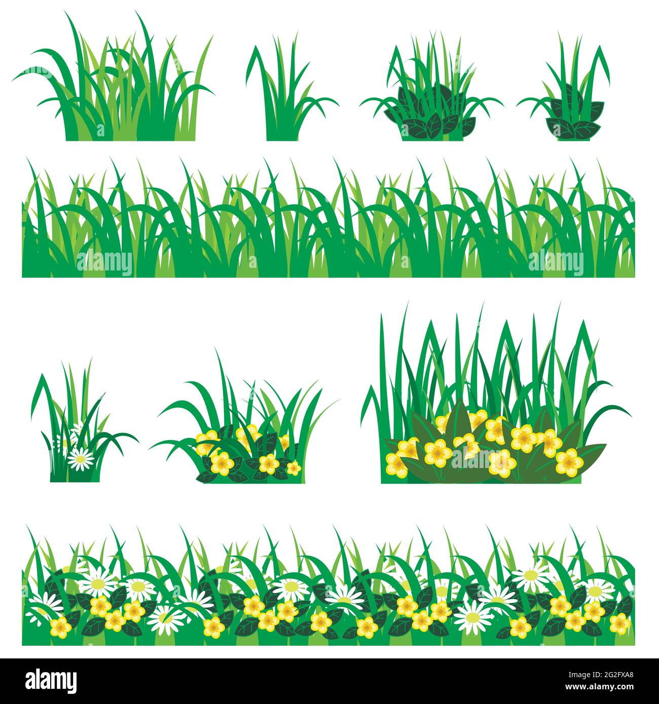 Ensemble de fleurs de jardin. Les chamomiles, les fleurs jaunes, les feuilles vertes, les compositions d'herbe, peuvent être utilisés comme éléments pour les scènes et les fonds de paysage creatin Illustration de Vecteur