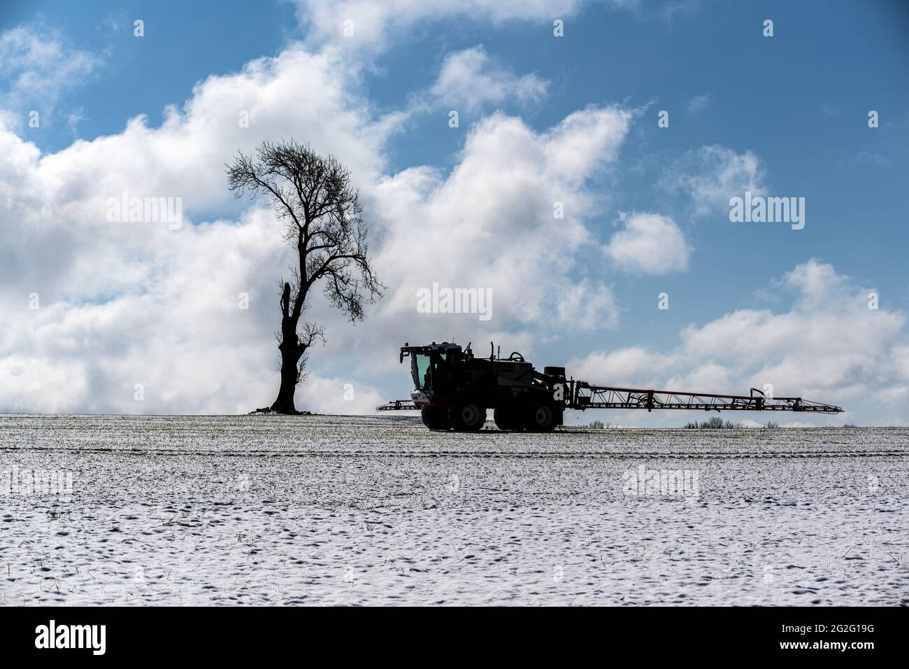 Pulvérisation de récolte après une douche à neige en avril Banque D'Images