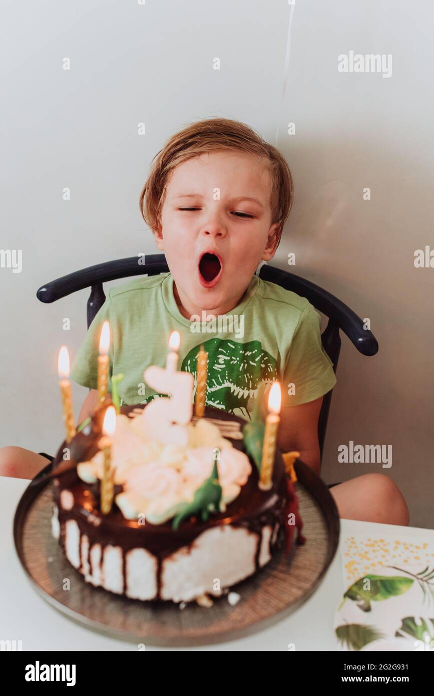 Jeune Garcon De 5 Ans Soufflant Sa Bougie D Anniversaire Photo Stock Alamy