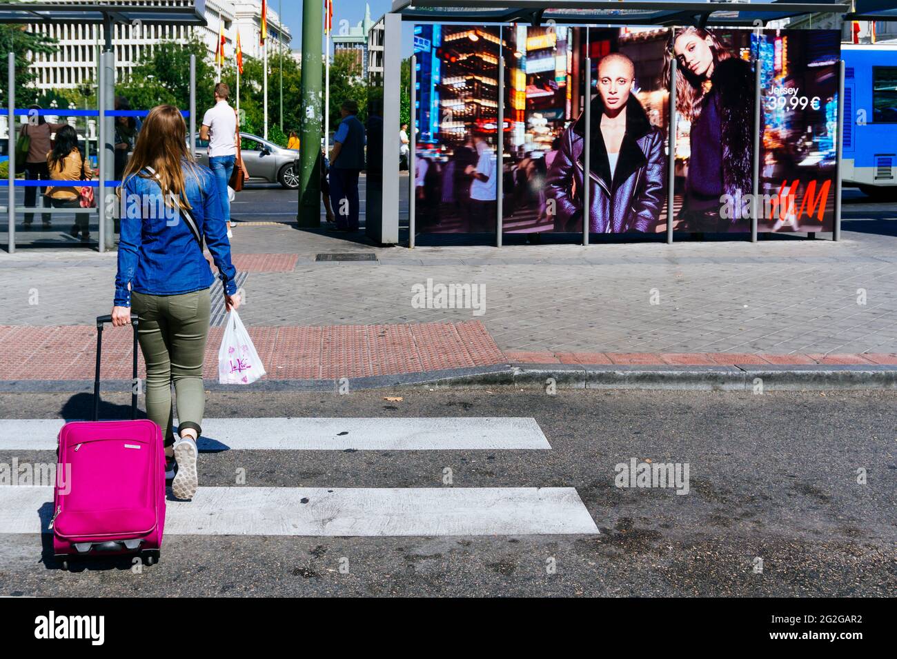 Une femme marche avec une valise à roulettes un zèbre traversant la Plaza de Cibeles. Madrid, Comunidad de madrid, Espagne, Europe Banque D'Images